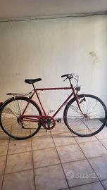 Bici da uomo