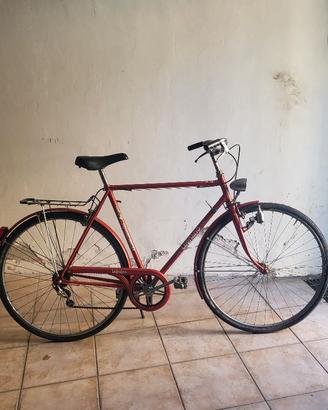 Bici da uomo