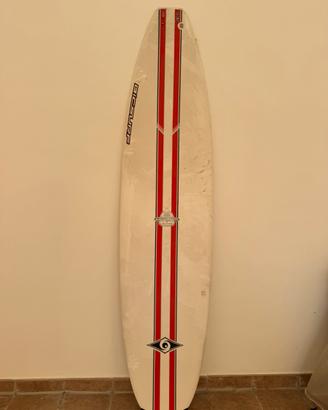 Tavola Surf BIC Natural Surf 2 7’9’’
