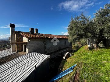 RUSTICO A MASSA E COZZILE