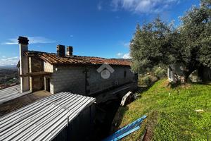 RUSTICO A MASSA E COZZILE