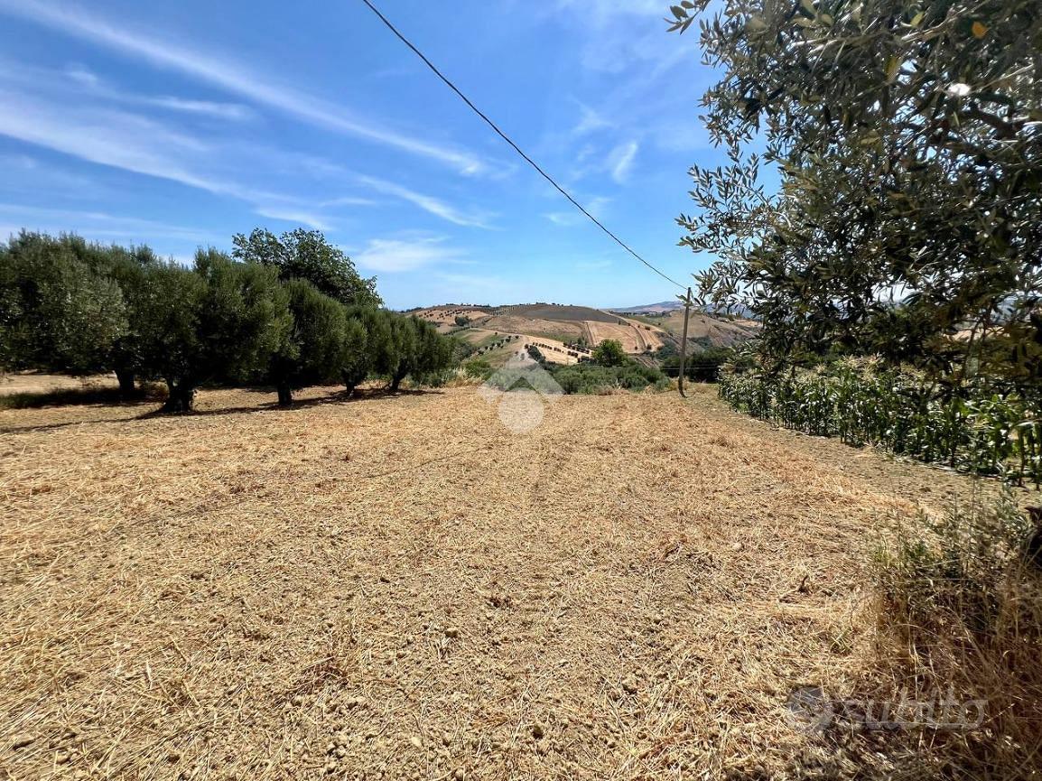 TERRENO A MOSCIANO SANT'ANGELO - Vista 4