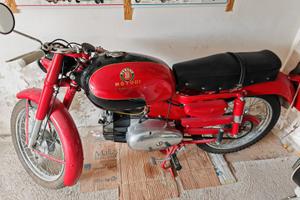 MotoBi Ardizio 125 - 1958