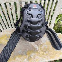 Paraschiena regolabile