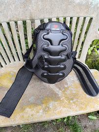 Paraschiena regolabile