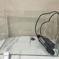 2 Tartarughe d'acqua dolce