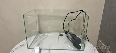 2 Tartarughe d'acqua dolce