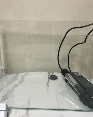 2 Tartarughe d'acqua dolce