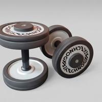 Coppia Manubri Technogym 12kg 