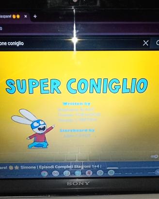 Notebook Sony Vaio (reg*lo scarpe da calcetto 44)