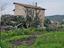 Immagine 3