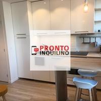 Bilocale ristrutturato cernusco