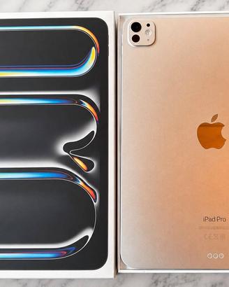 iPad pro 11 256gb M5 eccellente