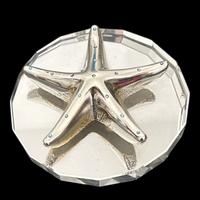 Oggetti in cristallo e argento