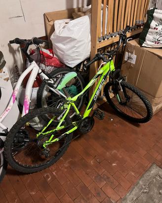Bici 24”