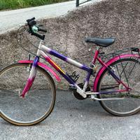 Bicicletta da passeggio uomo