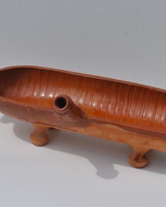 Leccarda umbra