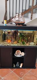 Acquario 250 litri