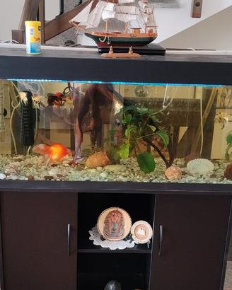 Acquario 250 litri