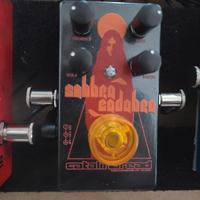 catalinbread sabbra cadabra