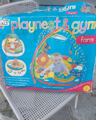 ciambella  palestrina gonfiabilplaynest & gym Galt