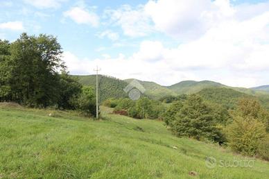 TER. RESIDENZIALE A TORRICELLA IN SABINA