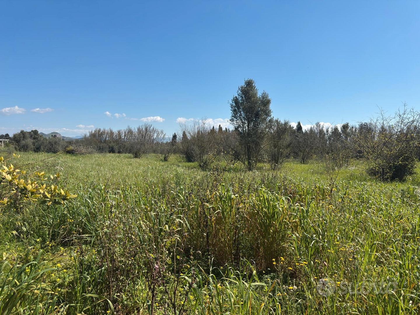 San Sperate. Terreno agricolo recintato - Vista 3
