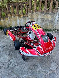 Telaio Birel Art S16 KZ 2024