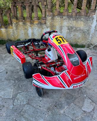 Telaio Birel Art S16 KZ 2024