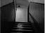 Immagine 7