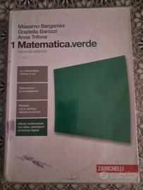 Matematica verde vol. 1