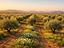 Immagine 7