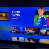 Tv LG 55 Pollici 4K