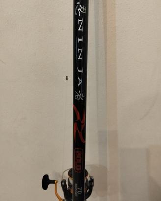 bolognese 7 MT.daiwa