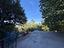 Immagine 7