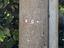 Immagine 21