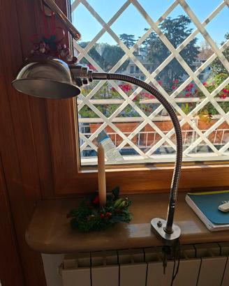 lampada da tavolo con morsetto