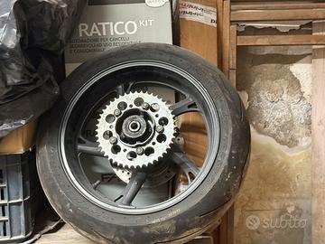 Posteriore hornet 2010