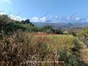 terreno-monreale-