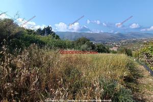 Terreno, Monreale.