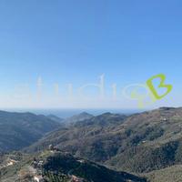 Perinaldo - Rif. BL1020