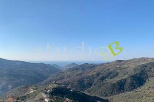 Perinaldo - Rif. BL1020