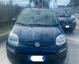 Fiat Panda 1.2 Easy UNICO PROPIETARIO