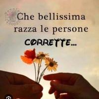 SHAMPISTA, LAVAPIATTI e tanto altro FOR MYSELF