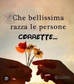 SHAMPISTA, LAVAPIATTI e tanto altro FOR MYSELF