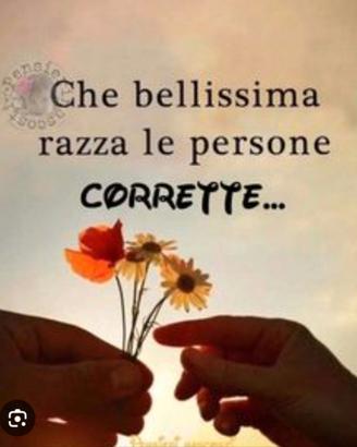 SHAMPISTA, LAVAPIATTI e tanto altro FOR MYSELF