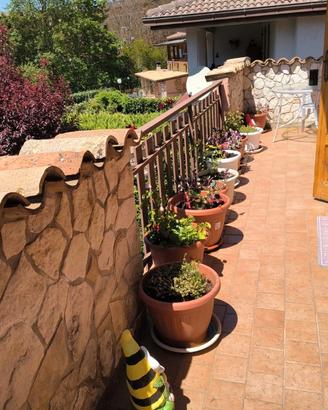 Appartamento due camere