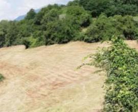 Terreno agricolo a Fara Vicentino (VI)