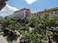 Immagine 28
