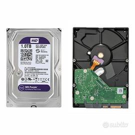 Hard disk 3,5 da 1tb Western digital purple